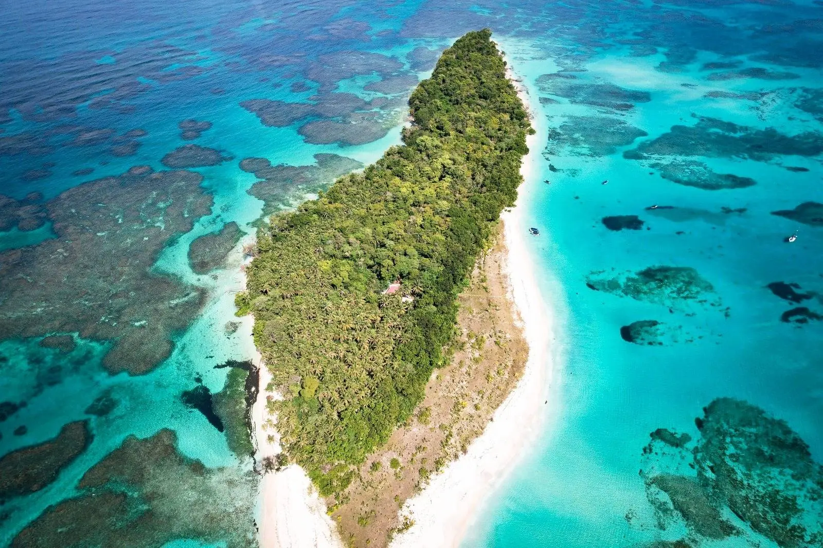Tour a Cayo Zapatilla y Bahía de los Delfines – Bocas del Toro - Image 4