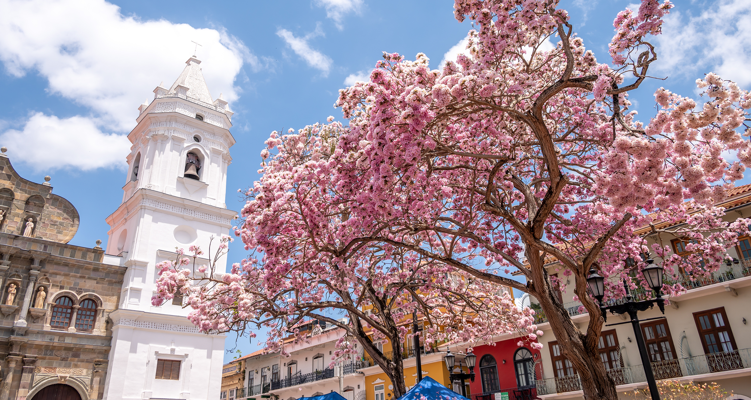 Paseo por el Casco Viejo de Panamá - Image 4