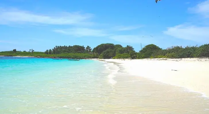 Escapada a Isla Iguana desde Playa Venao - Image 3